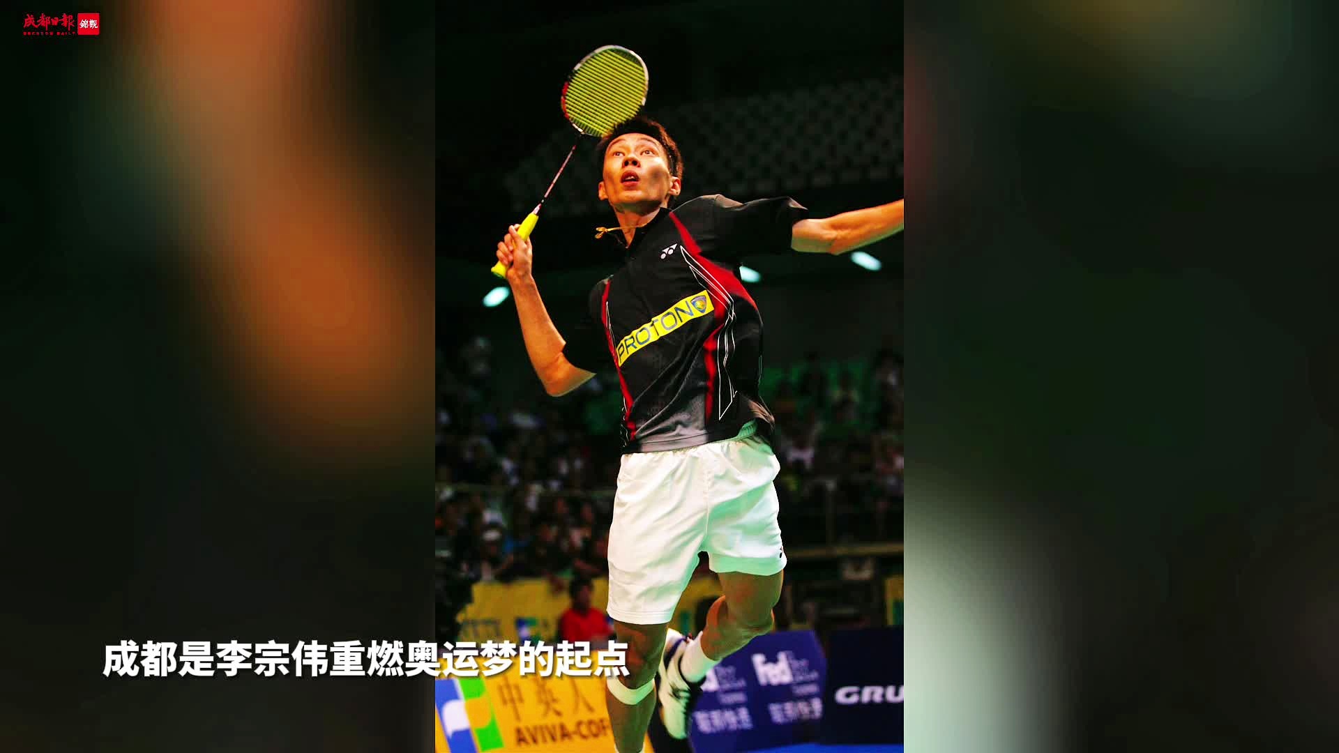 法国羽毛球队碾压印尼羽毛球队，李宗伟惊艳世界的简单介绍