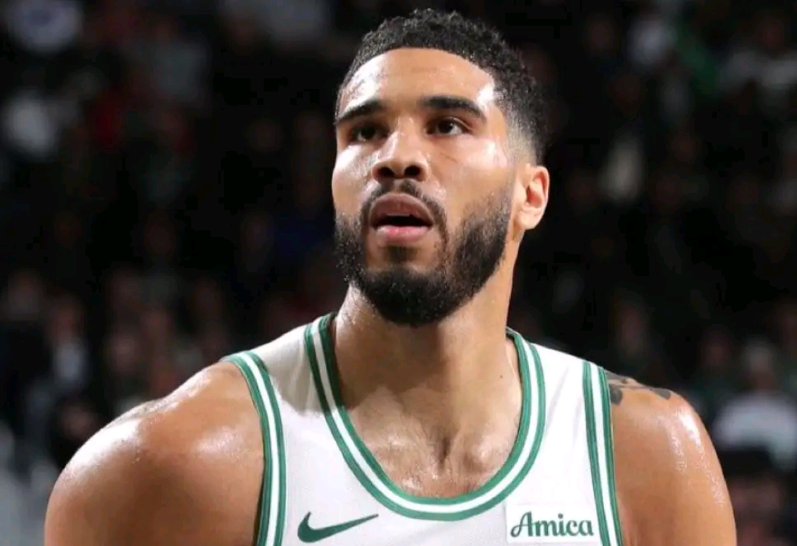 米兰体育网页版-包含雷霆横扫凯尔特人，字母哥高光表现的词条